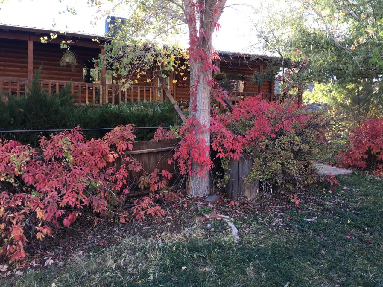 Canyon Wren Bed And Breakfast Bluff Exterior foto